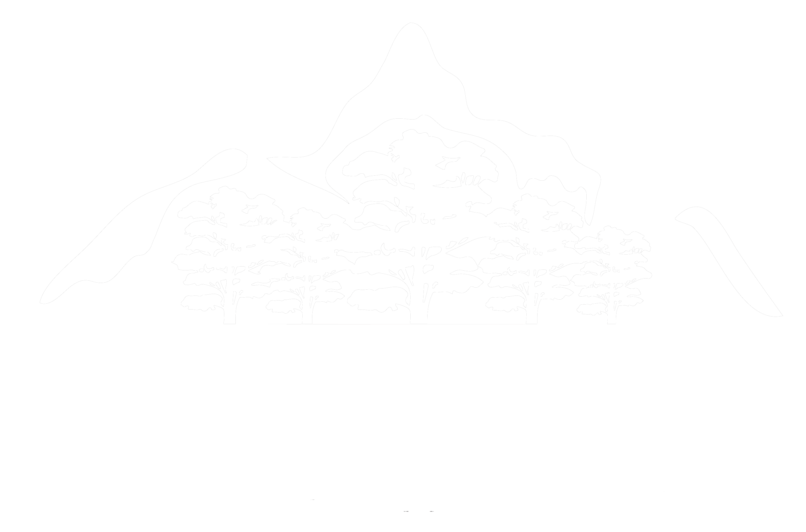 logo bosques blanco transparente